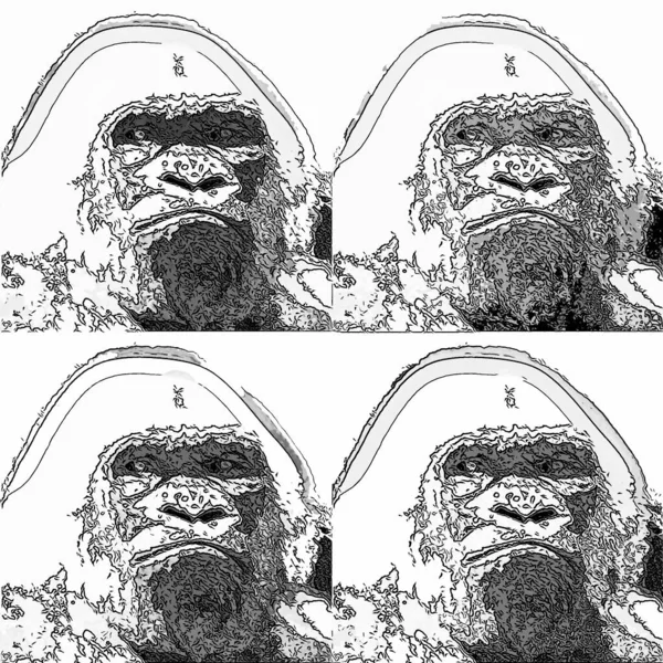 gorillas illustration pop-art background