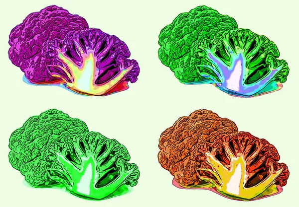 purple cauliflower healthy nutrition product green vegetable sign illustration pop-art background icon with color spots