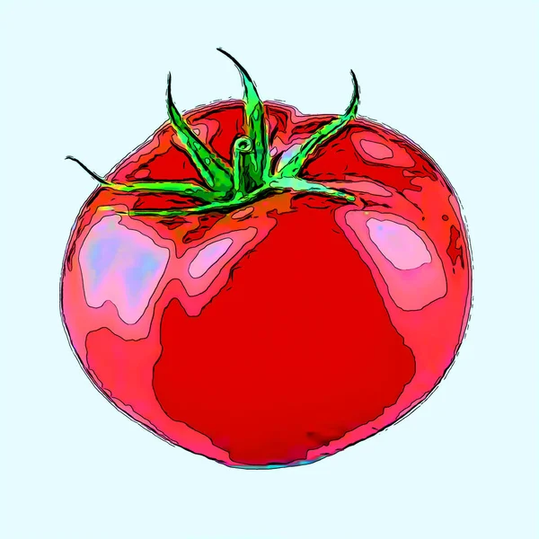 Tomate Zeichen Illustration Pop Art Hintergrund Symbol Mit Farbflecken — Stockfoto