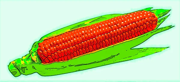 Sweet Corn Sign Illustration Pop Art Background Icon Color Spots — Stock Photo, Image