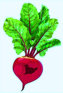 Pancar kırpma yolu ile beyaz arka plan üzerinde izole