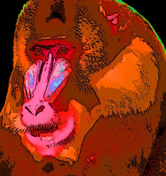 Maymun Çizimi Pop Art Arkaplan — Stok fotoğraf