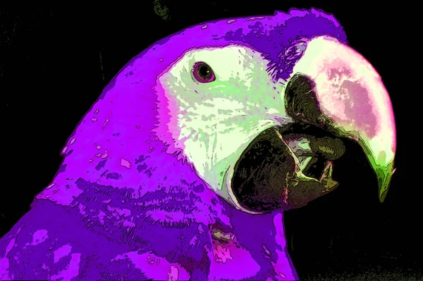 Renkli Papağan Çizimi Pop Art Arkaplanı — Stok fotoğraf