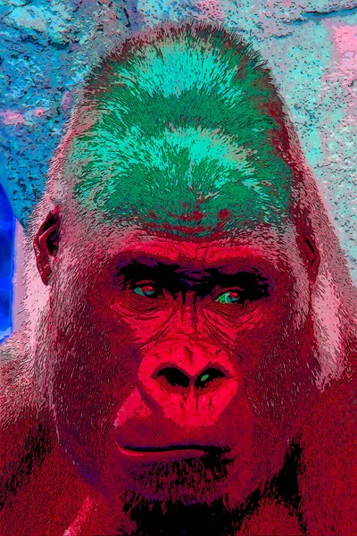 Gorilla Jel Illusztráció Pop Art Háttér Ikon Színes Vonalak — Stock Fotó