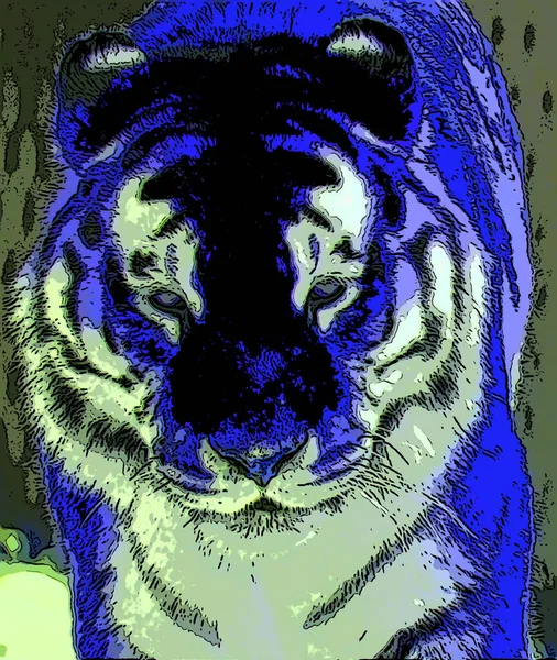 Tiger Segno Illustrazione Pop Art Icona Sfondo Con Macchie Colore — Foto Stock