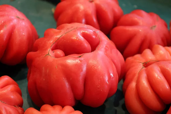 Świeże Pomidory Rynku — Zdjęcie stockowe