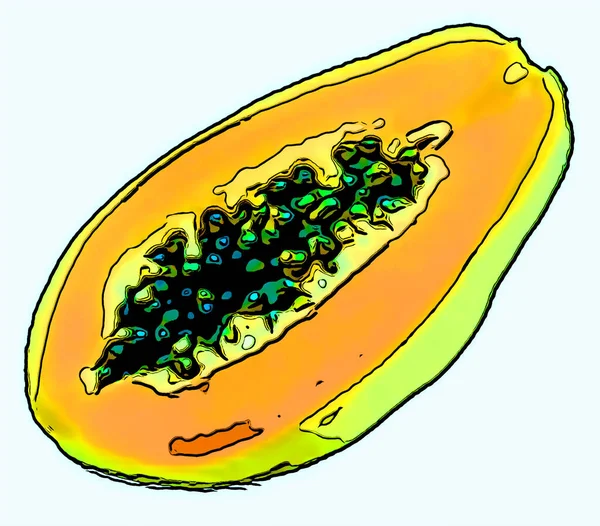 Papaya Illustration Background Color Spots — Stock Fotó