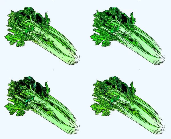 Celery Sign Illustration Pop Art Background Icon Color Spots — Stok fotoğraf
