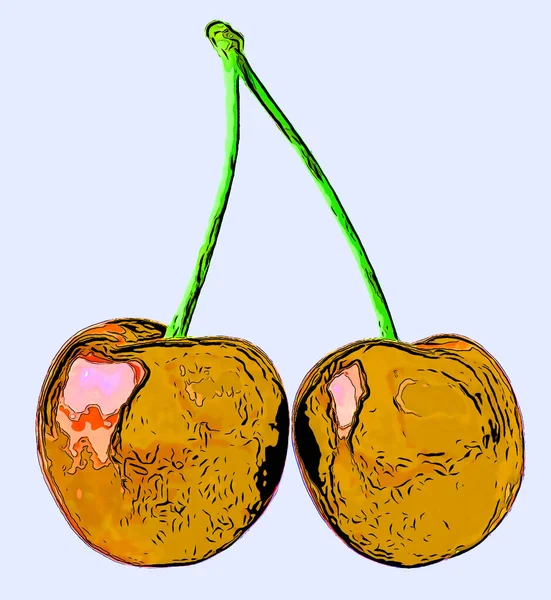 Pair Ripe Sweet Cherries Illustration Pop Art Background Icon Color — стоковое фото