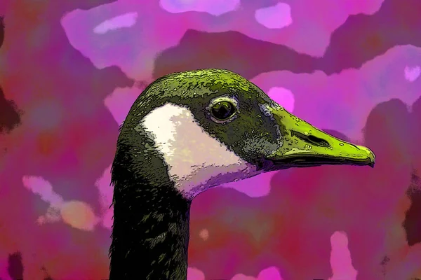 Domestic goose are domesticated grey geese (either greylag geese or swan geese) sign illustration pop-art background icon with color spot