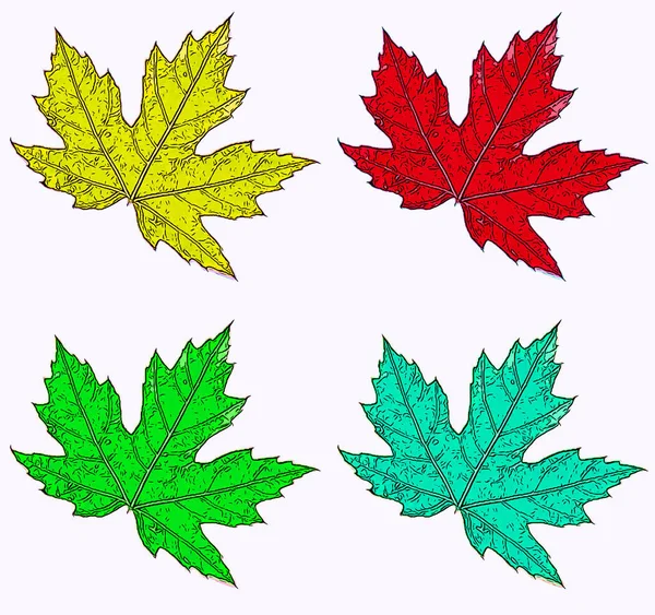 Maple Leaves Sign Illustration Pop Art Background Icon Color Spots — Stockfoto