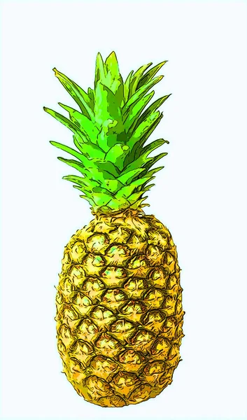 Ananas Teken Illustratie Pop Art Achtergrond Pictogram Met Kleur Vlekken — Stockfoto