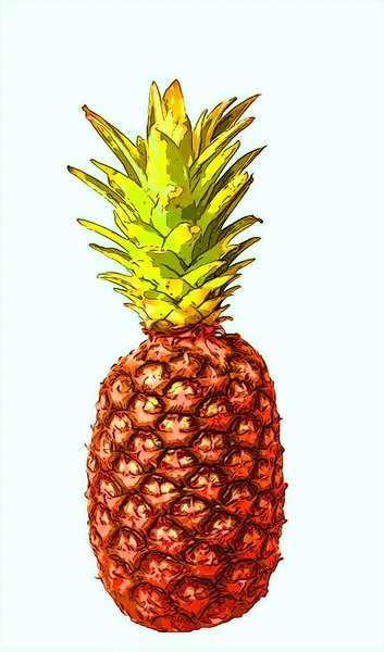 Ananas Znak Ilustracja Pop Art Tło Ikona Kolorowe Plamy — Zdjęcie stockowe