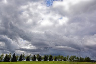 Row of coniferous and hardwood trees over cloudy sky in the country side of the Ile d'orleans Quebec Canada