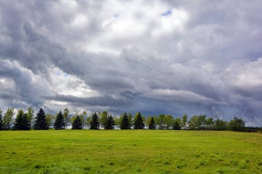 Row of coniferous and hardwood trees over cloudy sky in the country side of the Ile d'orleans Quebec Canada