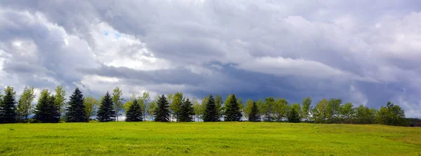 Row of coniferous and hardwood trees over cloudy sky in the country side of the Ile d\'orleans Quebec Canada