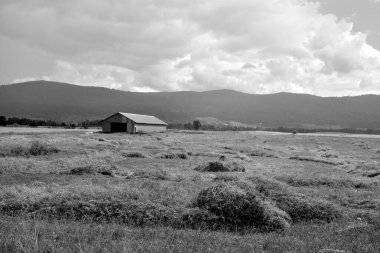 Fresh cut hay field late summer esatern township, Quebec, Canada