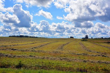 beautiful view of rural area with green field
