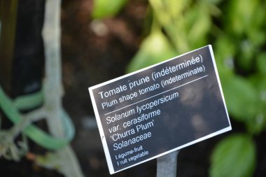 plant name plate in the garden