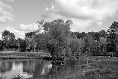 beautiful view of lake in zoo on cloudy day