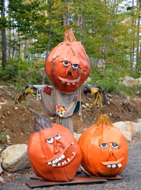 halloween pumpkins on a background of a forest, close-up