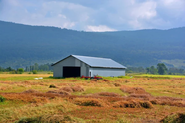 Hermosa Vista Del Campo — Foto de Stock