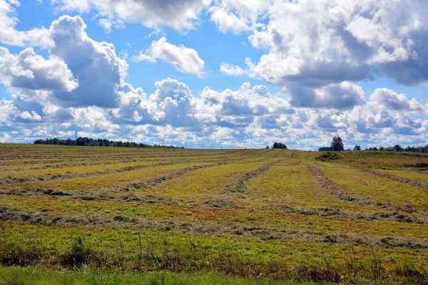 Beautiful View Rural Area Green Field — Foto Stock