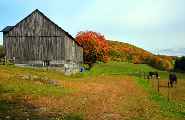 Scenic Autumn Landscape Wooden Barn — Zdjęcie stockowe