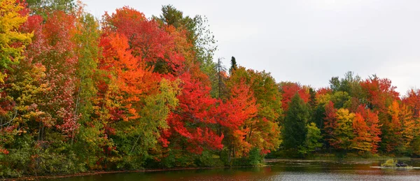 Scenic Autumn Landscape Lake — Fotografia de Stock