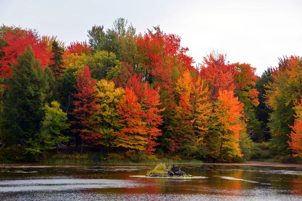 Schilderachtig Herfstlandschap Met Meer — Stockfoto