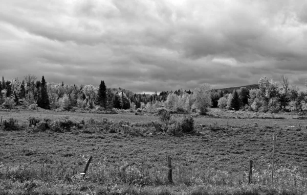 Schwarz Weiß Foto Einer Schönen Landschaft Mit Bewölktem Himmel — Stockfoto