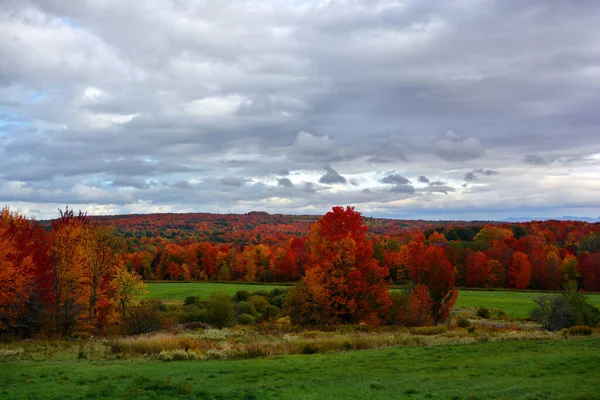 Scenic Autumn Landscape Nature — Zdjęcie stockowe