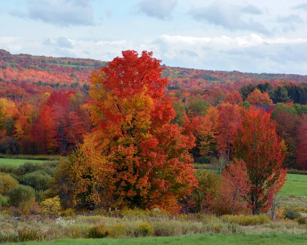 Scenic Autumn Landscape Nature — 스톡 사진