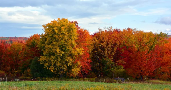 Scenic Autumn Landscape Nature — стоковое фото