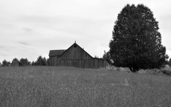 Beautiful Autumn Landscape Barn — Stock Photo, Image