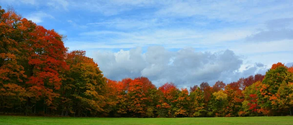 Scenic Autumn Landscape Park — 스톡 사진