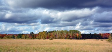 Güzel sonbahar manzarası, doğa