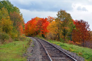 scenic  autumn  landscape with railway 