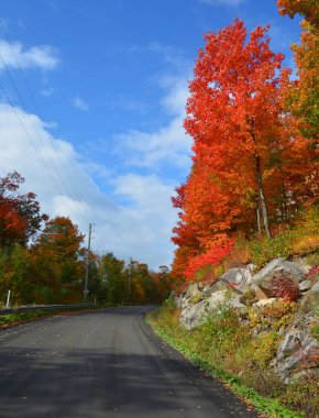 Güzel sonbahar kırsalında yol 