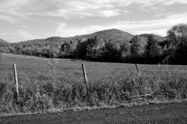 beautiful landscape with a field , black and white 