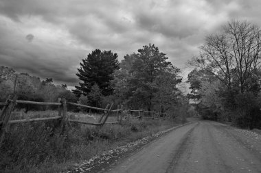 Güzel sonbahar manzarası, siyah ve beyaz 