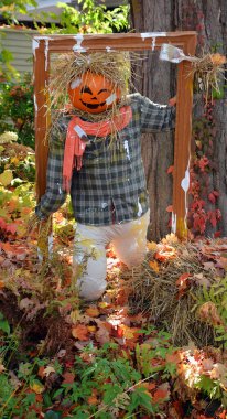 BROMONT QUEBEC CANADA 10 04 2020: Scarecrow at Les Epouvantables Bromont, is a fall season contest, that will bring the visitors back in time of the Old Village called West Shefford