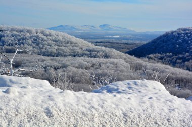 Karla kaplı ağaçlarla kaplı kış manzarası