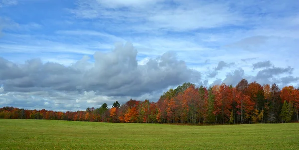 Scenic Autumn Landscape Green Field — 스톡 사진