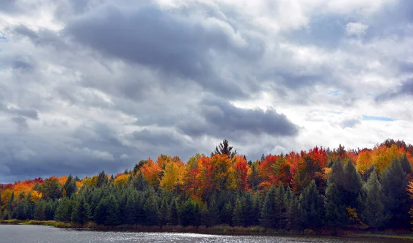 Scenic Autumn Landscape Lake —  Fotos de Stock