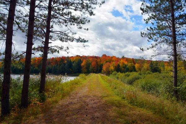 Scenic Autumn Landscape Lake — Stok fotoğraf
