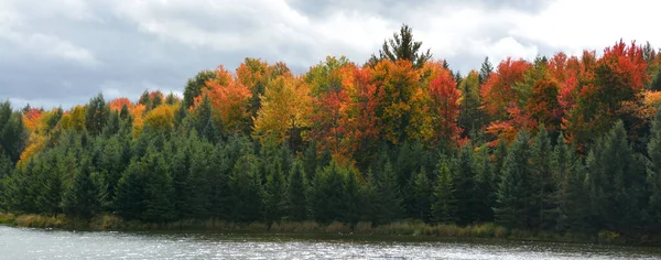 Autumn Landscape Bright Trees River —  Fotos de Stock