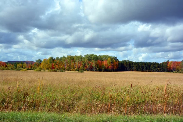 Scenic Autumn Landscape Field — 스톡 사진