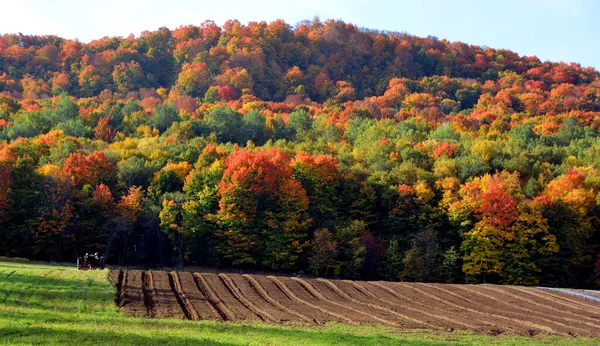 美丽的秋天风景 大自然 — 图库照片