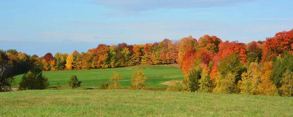 Beautiful Autumn Park Landscape — 스톡 사진